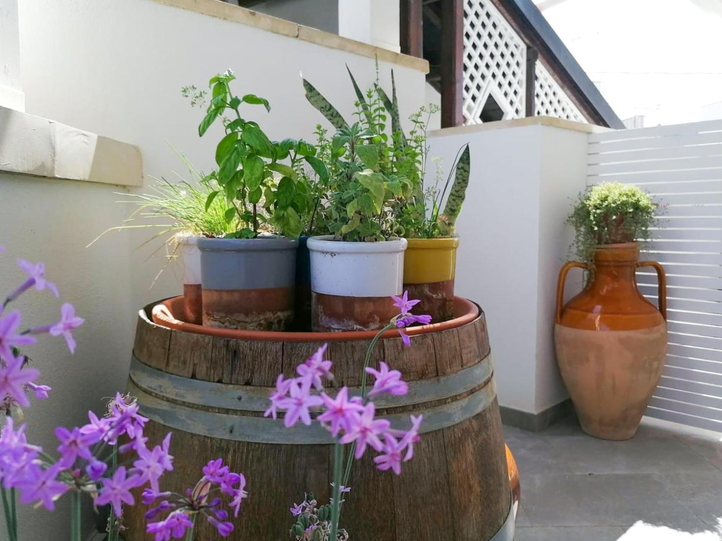 Casa Flora - Bed And Breakfast Torre San Giovanni Ugento Luaran gambar
